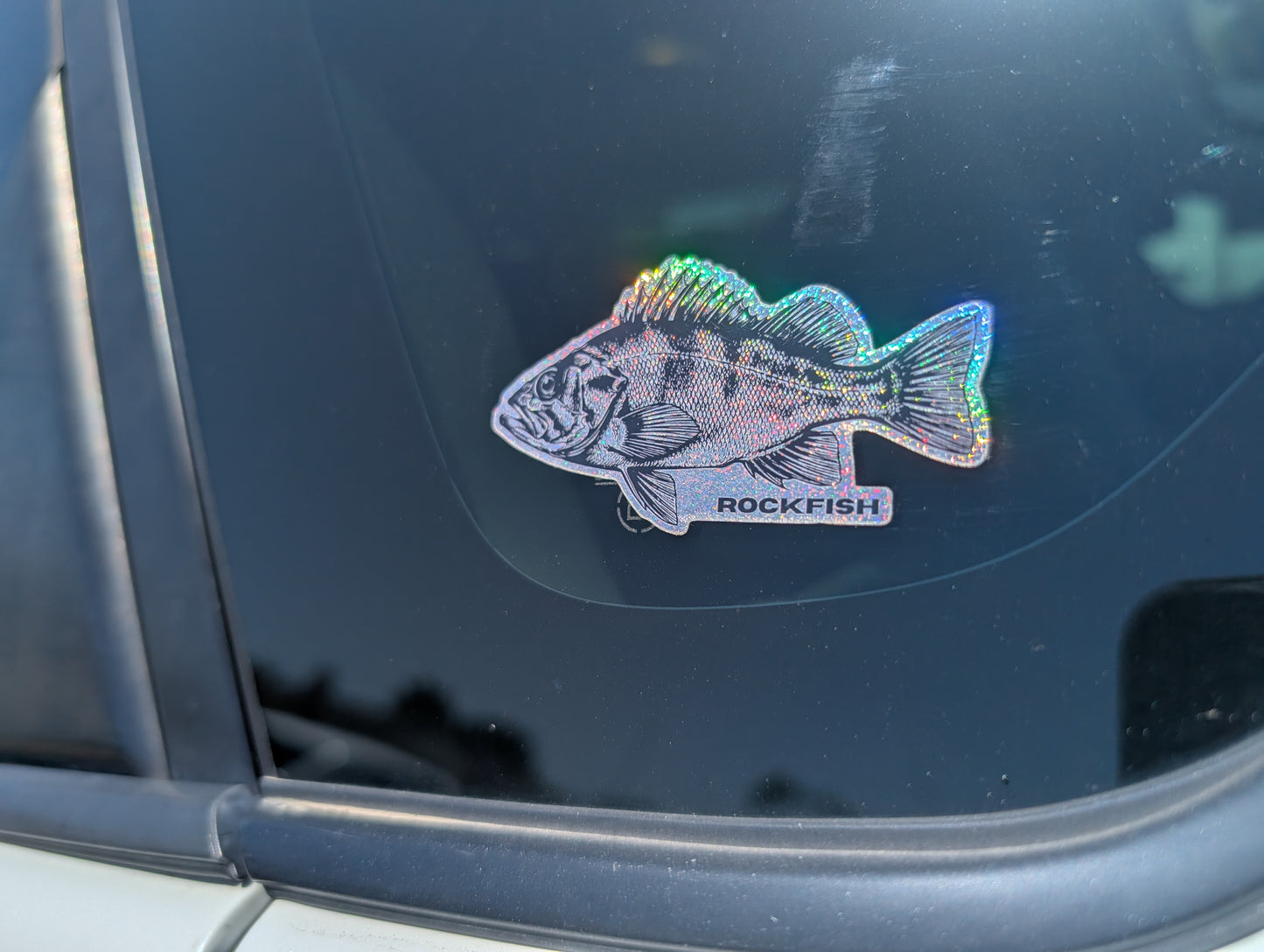 Small Rockfish