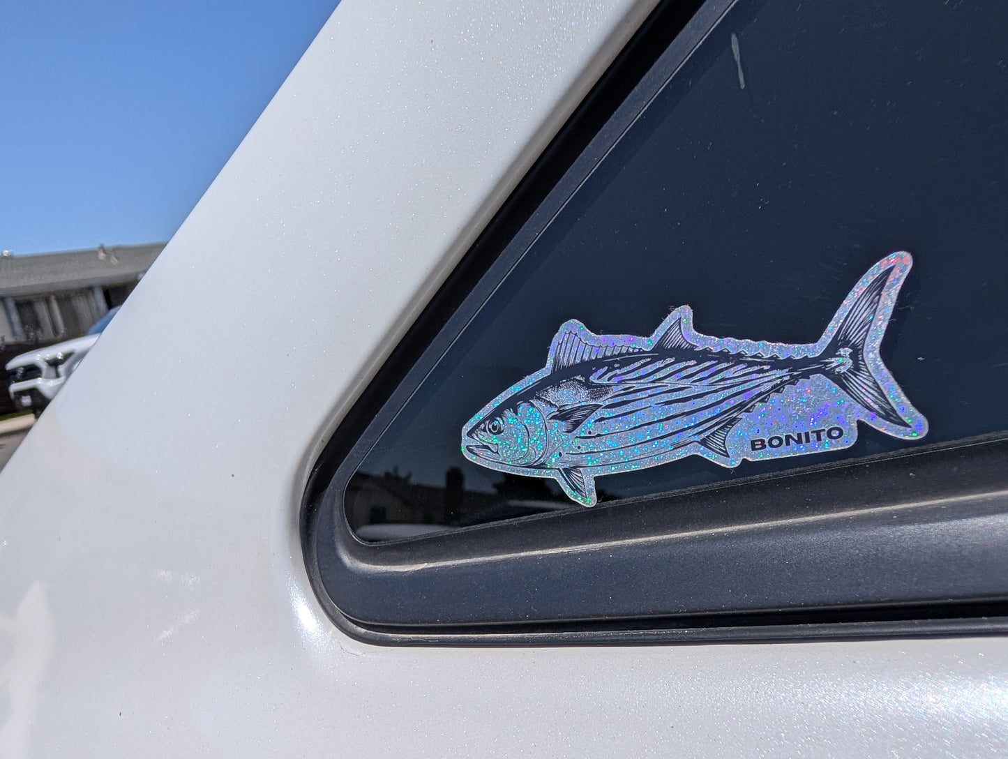 Small Bonito