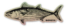 Small Bonito